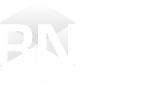 RN-VEGA - Analysis and interpretation of well test